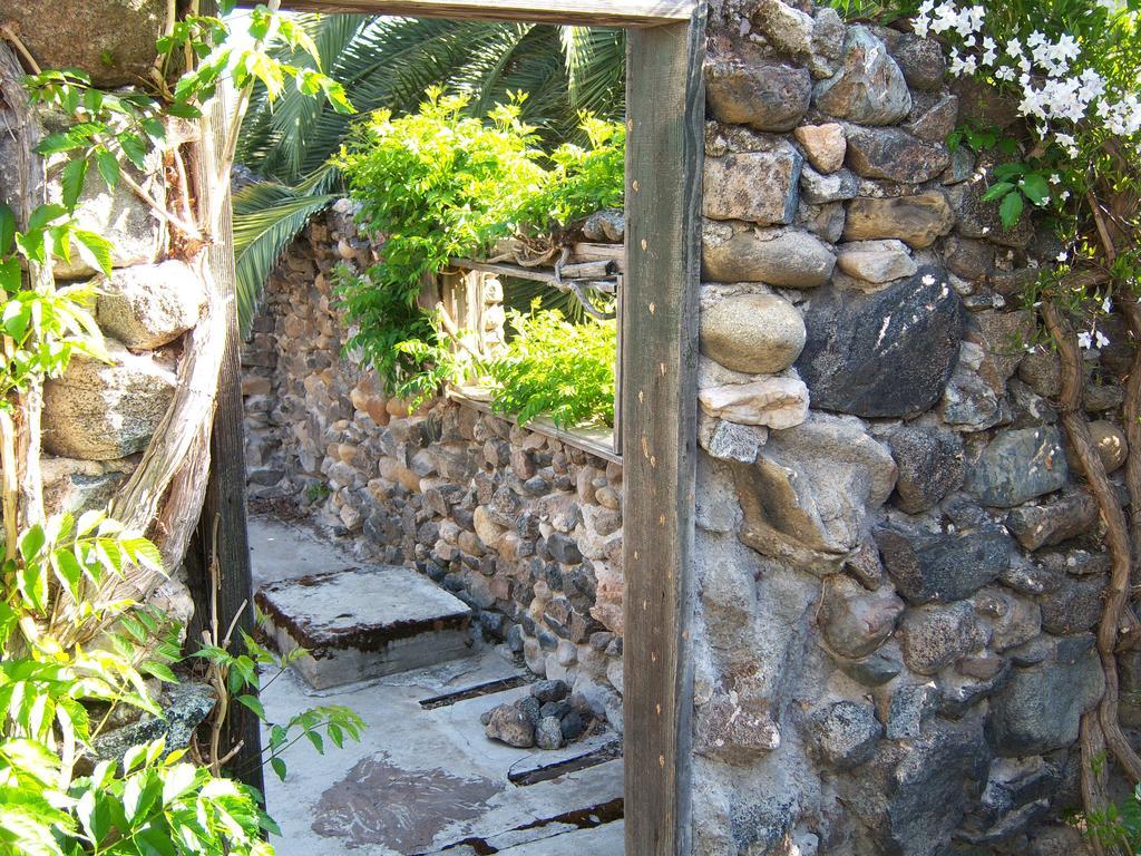 แพลนเตชั่น เบด แอนด์ เบรคฟาสต์ Bed & Breakfast Lemon Cove ภายนอก รูปภาพ